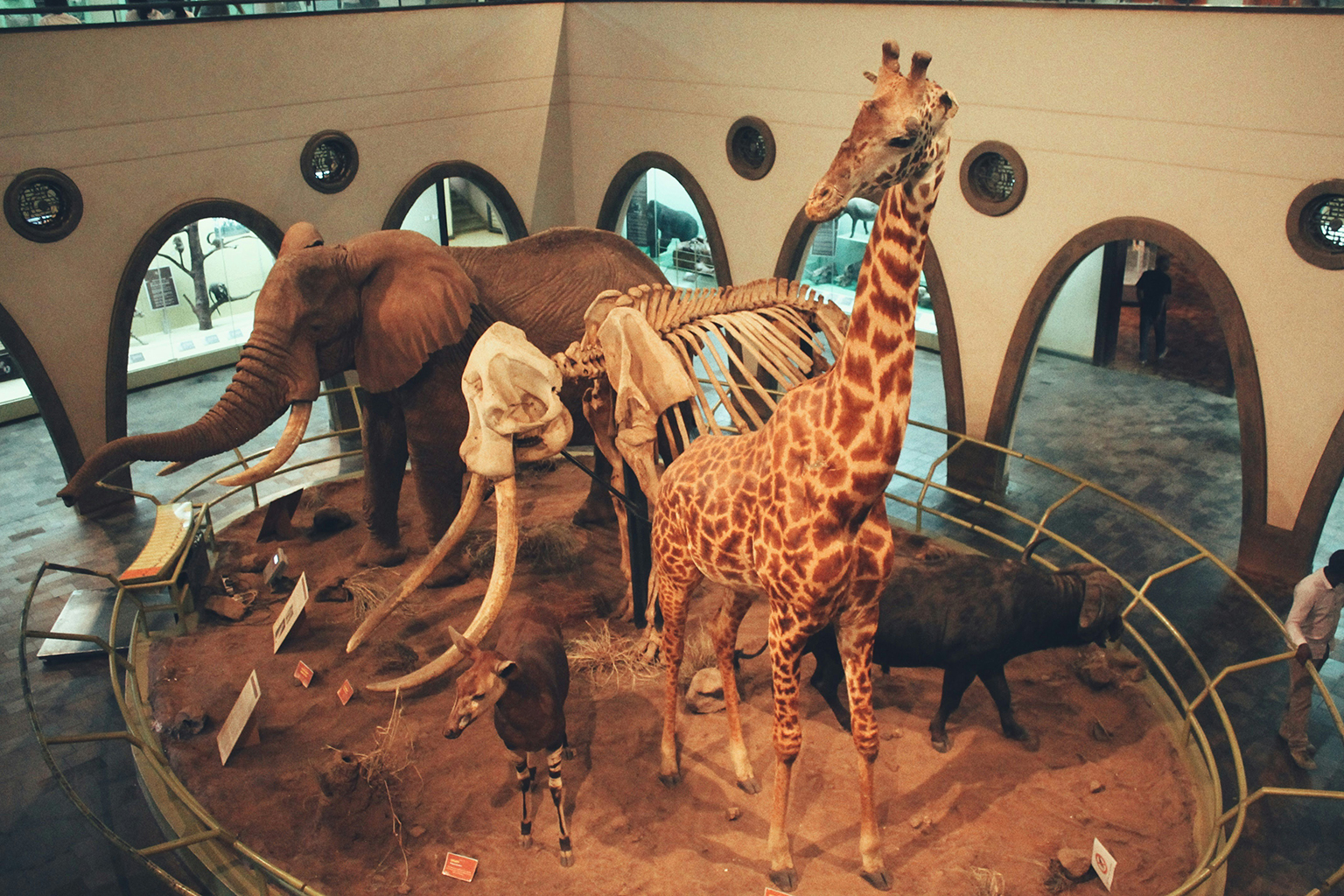 multiple animal exhibit in a zoo